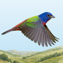 FaunaLens app icon