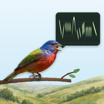 SongLens app icon